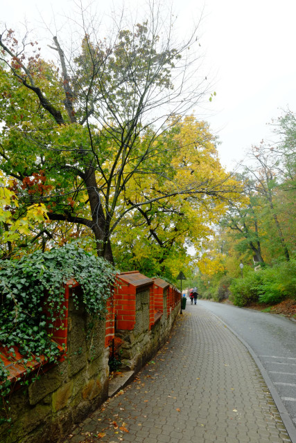 ベズルチョヴァの坂を下る。紅葉が綺麗だ。