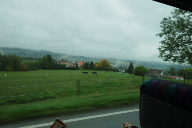 ボヘミアの森を行くバスからの眺め