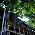 白山神社と紫陽花（Hakusan Shrine and hydrangea）-005