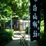 白山神社と紫陽花（Hakusan Shrine and hydrangea）-007