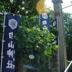 白山神社と紫陽花（Hakusan Shrine and hydrangea）-012