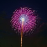 第39回 江戸川区花火大会（The 39th Edogawa-ku fireworks display）-010