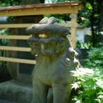 白山神社と紫陽花（Hakusan Shrine and hydrangea）-002